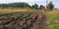 В городе приступили к обновлению минерализованных полос - Город Пенза