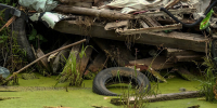 img - ТКР