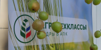 Новый агрокласс появился в Кочубеевском округе - Вечерний Ставрополь