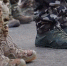 В это первое сентября в военные вузы России пошли десятки тысяч курсантов - Липецкая ГТРК