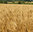 // Фото https://max.ru/a_klychkov - Правительство Орловской области