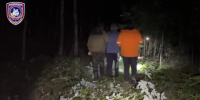 Родственники нашли грибника и сами заблудились в лесу под Нижним Новгородом - Newsroom24.Ru