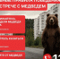 В Красноярске на территории СФУ ищут медведя. Фото: соцсети С. Верещагина - Седьмой канал