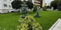 В Уфе благоустроен сквер за кинотеатром «Родина» - Башинформ