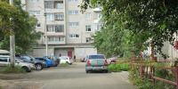 Архангельские власти решили обратить внимание на беду жителей дома, которых терроризируют крысы - Tv29.Ru