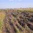 Фото: https://www.penza-gorod.ru - Penza-Post.Ru