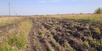 Фото: https://www.penza-gorod.ru - Penza-Post.Ru