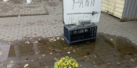 Деликатесы у Волги: на Шумейке за 1,1 млн продают магазин с раками и креветками - Газета Репортер