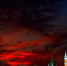 Фото: Timofeev Vladimir/Shutterstock/Fotodom - Ямал-Медиа