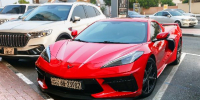 Бывшим хозяином попавшего в ДТП Corvette оказался криптомиллионер, от которого спасали львицу - РТВ-Подмосковье