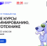 На Госуслугах открылась запись на курсы программирования для подростков «Код будущего» - Министерство цифрового развития и связи
