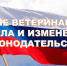 С 1 сентября 2026 года вступили в силу Ветеринарные правила ветеринарно-санитарной экспертизы продукции растительного происхождения непромышленного изготовления - Управление ветеринарии