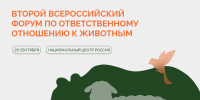 Российские зоозащитники поборются за Всероссийскую премию. Photo 1 - Полуостров Камчатка
