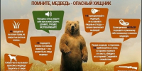 Памятка - медведи!!!. - Балахтинский район