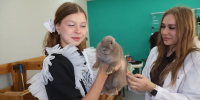 Восемь агротехнологических классов открылись в Кузбассе в новом учебном году - Администрация области