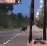 image - GazetaRB.Ru