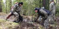 Осенние субботники проведут во всех лесничествах Иркутской области - Baikal24.Ru