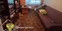 Внук убил 98-летнюю бабушку в Новосибирской области - Gorsite.Ru
