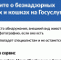 На «Госуслугах» запущен новый сервис - Сладковский район