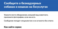 На «Госуслугах» запущен новый сервис - Сладковский район