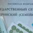 Фото: Maria Paina / Shutterstock / Fotodom - Красный Север