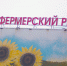 Нести или не нести кур в МФЦ: как на самом деле нужно регистрировать птицу и кроликов после 1 сентября - ИА Общественная служба новостей