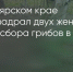 Поделитья во ВКонтакте - Братская Студия Телевидения
