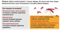 Внимание! Малярия - Газета Знамя
