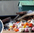 В Ярославле назвали количество камер на контейнерных площадках - Газета Новый вестник