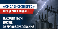 «смоленскэнерго» предупреждает: находиться возле энергооборудования во время грозы опасно - фото - 1 - Ельнинский район