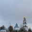 В Великорецком посадят сад из 90 яблонь - Свойкировский.рф