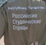 Более 8 тыс. молодых людей трудились в студотрядах Татарстана этим летом - Бавлы-информ