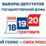 Выборы Депутатов Государственной Думы - Дзержинский район