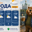 Осень пришла: прогноз погоды в Воронеже - Bloknot-Voronezh.Ru