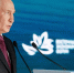 Владимир Путин назвал тигра хозяином тайги - M24.Ru