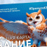 Фото предоставлено министерством связи и информационных технологий Архангельской области - Сетевое издание Коноша29