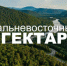 За 10 лет программы "Дальневосточный гектар" раздали 140 тысяч участков. - Администрация МО Курчатов