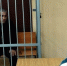 суд - РИА Омск-информ