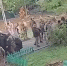 В центре Киева кровавую перестрелку устроили представители украинских спецслужб - ИД Новости Югры