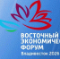 Прабово Субианто анонсировал налаживание прямого сообщения Индонезии с Владивостоком - ГТРК Владивосток