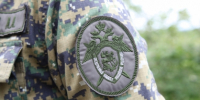 В Магаданской области по сообщению средств массовой информации проводится доследственная проверка по факту получения ребенком травмы в результате нападения собаки - Следственный комитет