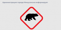 Будьте бдительны: участились случаи выхода медведей к населенным пунктам!. - Администрация