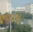 В конце недели в Кузбассе немного потеплеет, но вероятность ночных заморозков сохранится - ИА Город Новостей