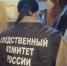 В Санкт-Петербурге в рамках расследования уголовного дела о мошенничестве задержаны тринадцать человек - Следственный комитет