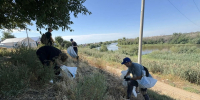 Волонтеры и «ЭкоЦентр» навели порядок в двух уголках Астраханской области - Astrakhanpost.Ru