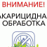 Внимание! В городе пройдут плановые обработки парков от клещей и грызунов. - Администрация г. Королёв