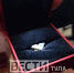 Тульские «Вести» одними из первых увидели новую награду губернатора региона – «Тульская область – территория семейного счастья». - ГТРК
