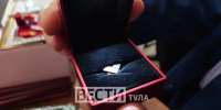 Тульские «Вести» одними из первых увидели новую награду губернатора региона – «Тульская область – территория семейного счастья». - ГТРК