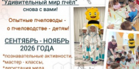 «Удивительный мир пчел» 2.0 возвращается в Череповец! - Агентство Городского Развития