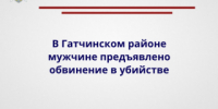 В Гатчинском районе мужчине предъявлено обвинение в убийстве - Следственный комитет